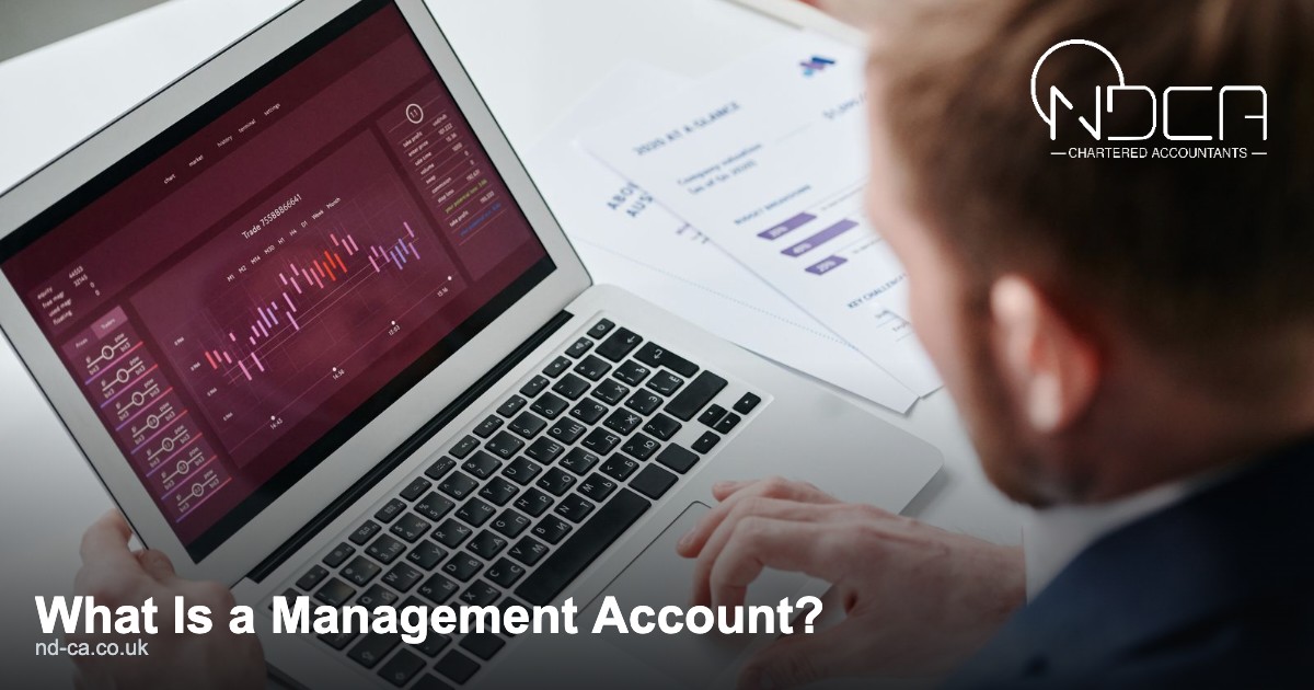 You are currently viewing What Is a Management Account?